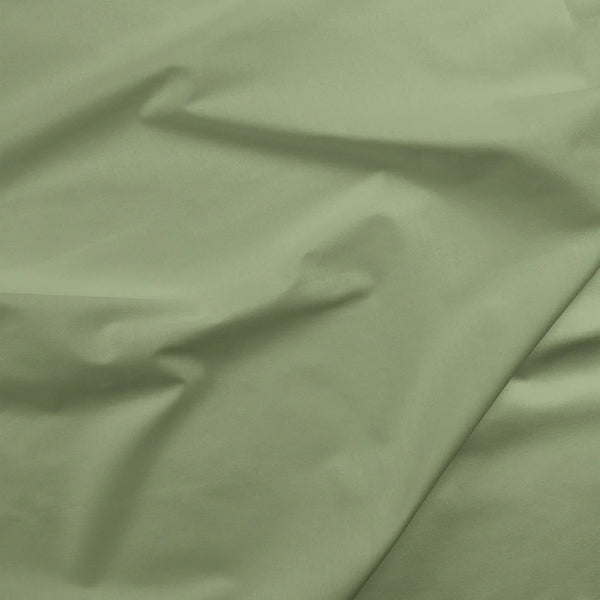 Eucalyptus | Painter's Palette Solid | Quilting Cotton