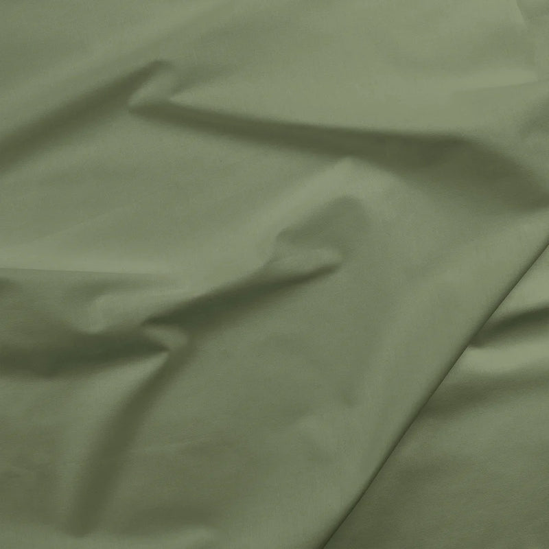 Sage | Painter's Palette Solid | Quilting Cotton