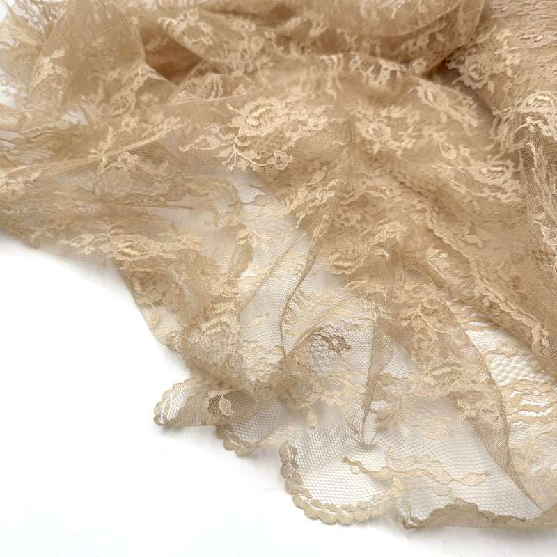 Miss Kitty | Lace