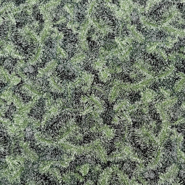 Pine Bough Black | Holiday Flourish | Quilting Cotton