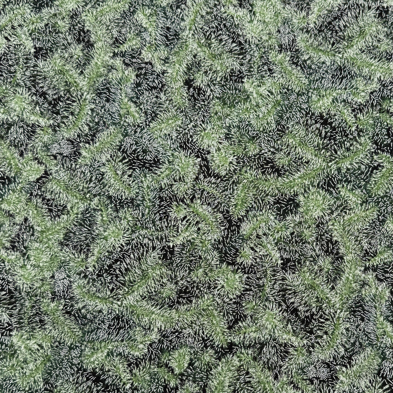 Pine Bough Black | Holiday Flourish | Quilting Cotton