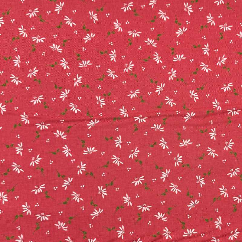 Aster Melon | Sincerely Yours | Quilting Cotton