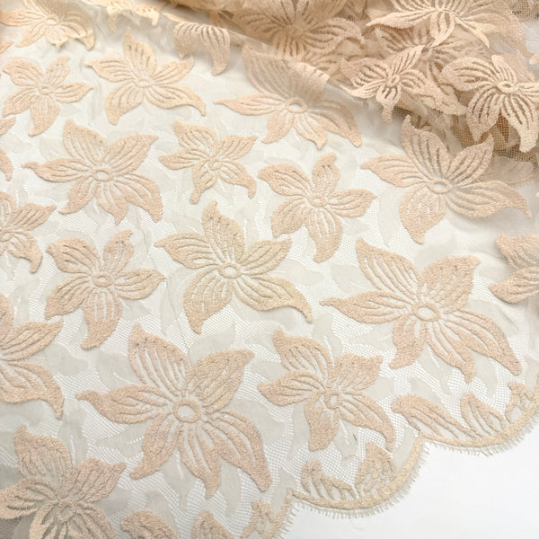 Day Lilly | Lace