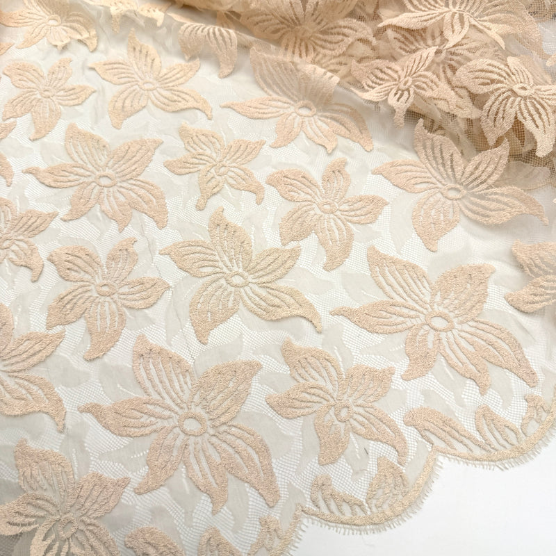 Day Lilly | Lace