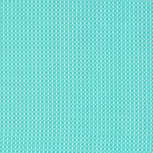Netorious, Toy Boat | Cotton and Steel Basics | Quilting Cotton