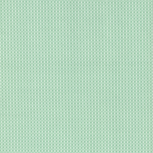 Netorious, Jam Jar | Cotton and Steel Basics | Quilting Cotton