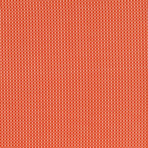 Netorious, Roadster | Cotton and Steel Basics | Quilting Cotton