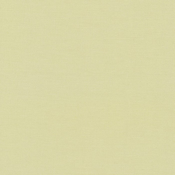 Eucalyptus | Kona Solid | Quilting Cotton