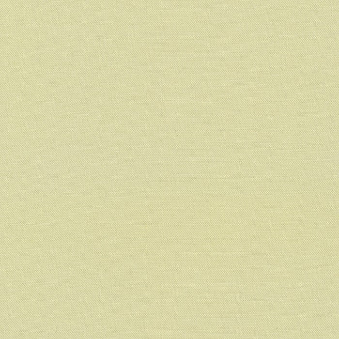 Eucalyptus | Kona Solid | Quilting Cotton